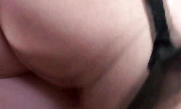 راننده در برابر لذت بردن از یک عکس سینه سکسی زن جهانگردان تسلیم نشد