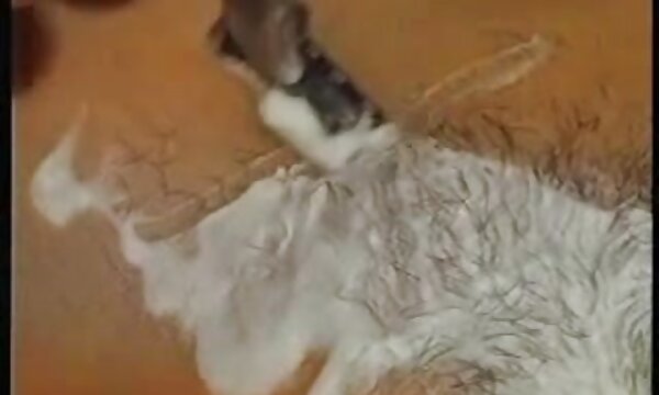 سکس لزبین یک بار اما داغ کیتی عکس سکسی سینه متحرک و کارینا