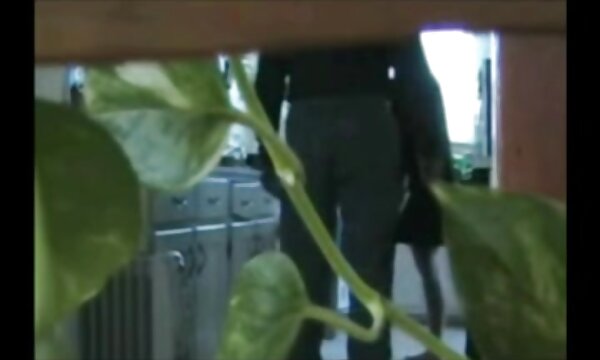 شما عکس سینه ی سکسی قبل از رفتن به محل کار به رابطه جنسی صبحگاهی نیاز دارید