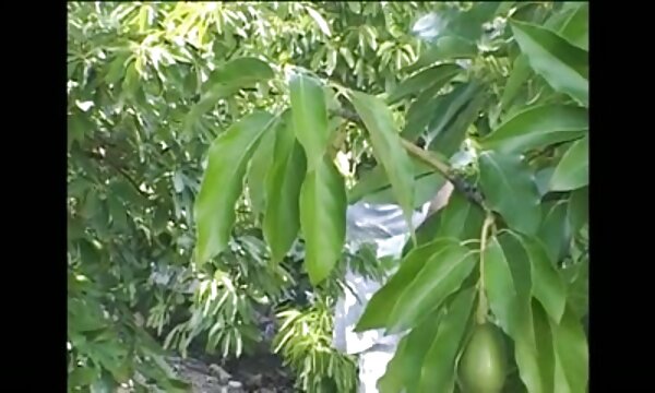 پسر عکس سکسی فقط سینه عموی دوست