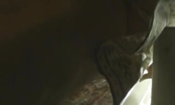 فاحشه بزرگسالان عکس سکسی خوردن پستان از سه لزبین است